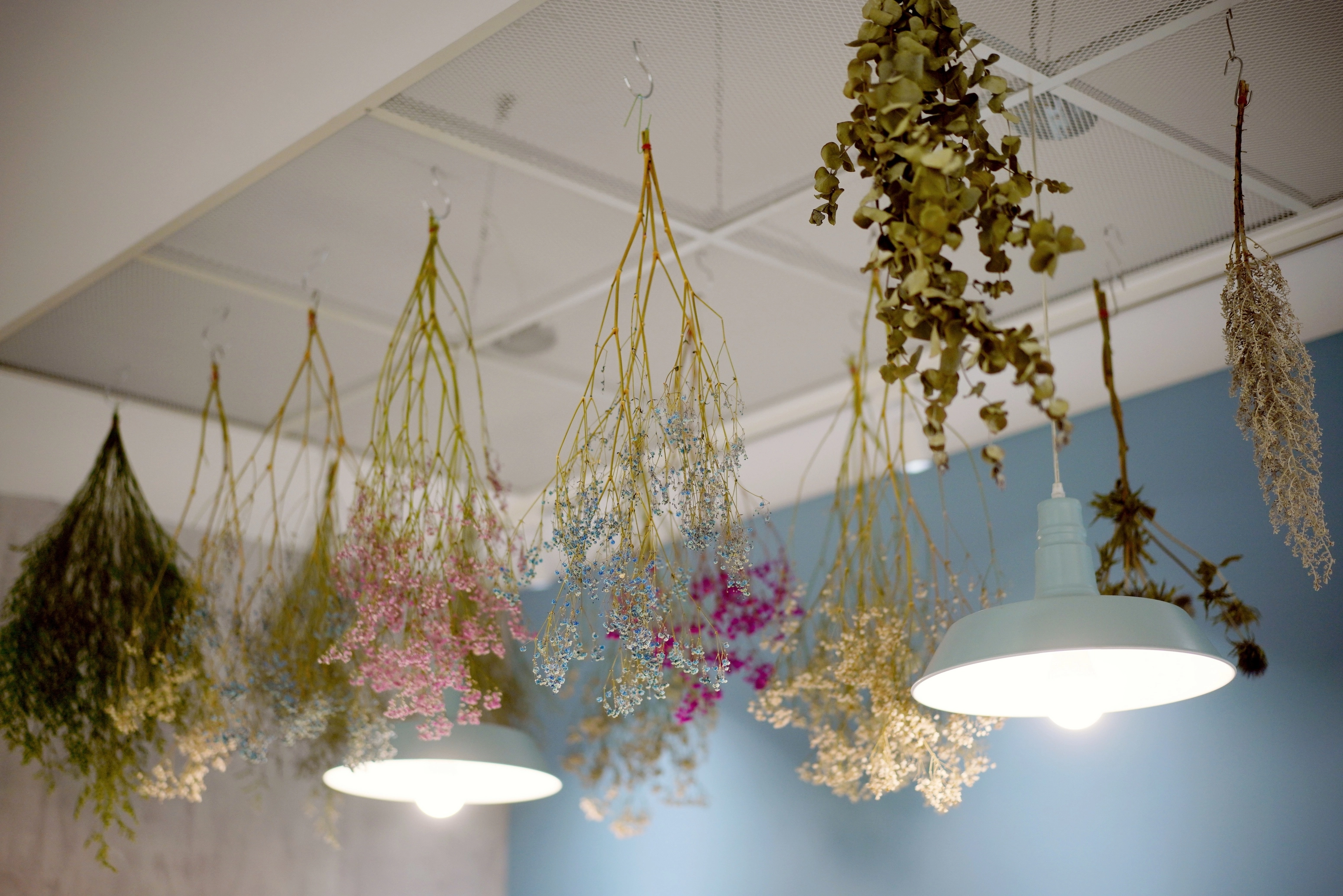 法式浪漫風格花店,透過燈光與色彩配置,呈現精緻且專業的品牌形象。