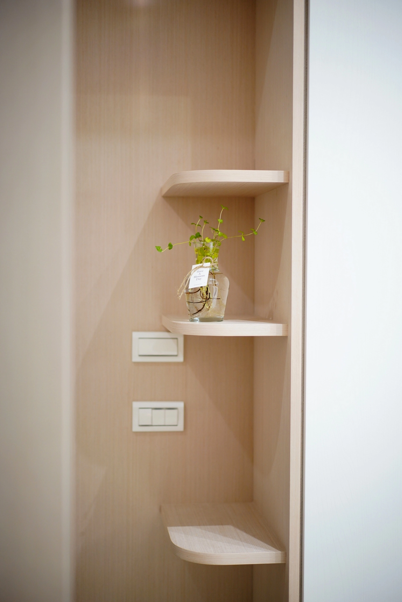 德盈設計玄關案例：系統高櫃延伸至圓弧展示層板，簡約純淨設計，最大化玄關收納機能。